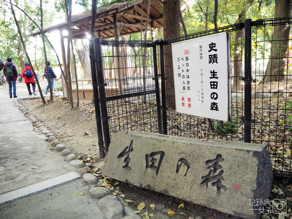 神戶-生田神社-生田の森-戀愛水籤占卜 (26).JPG