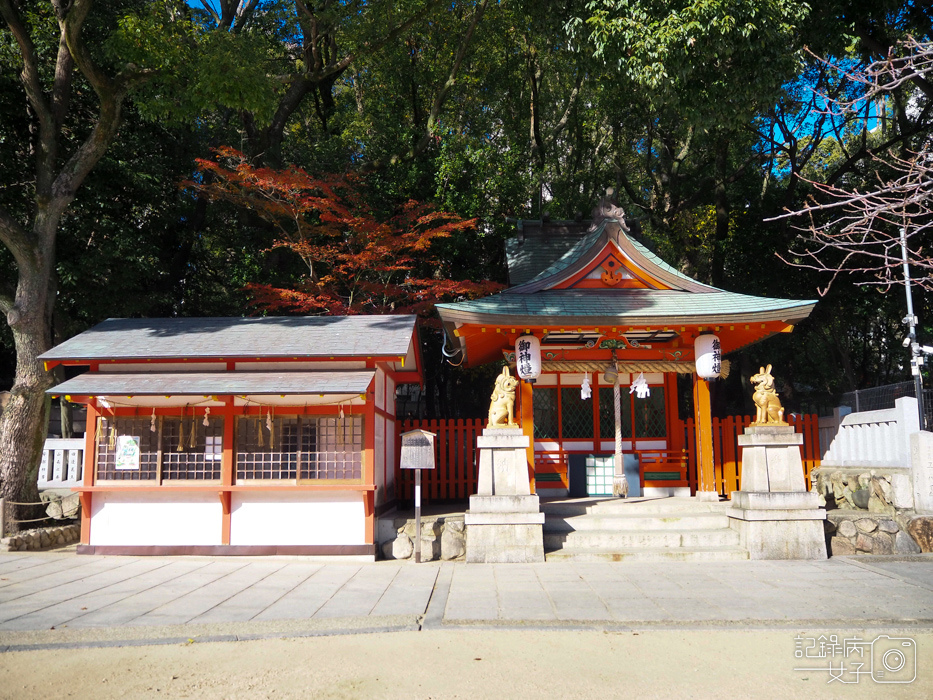 神戶-生田神社-生田の森-戀愛水籤占卜 (22).JPG