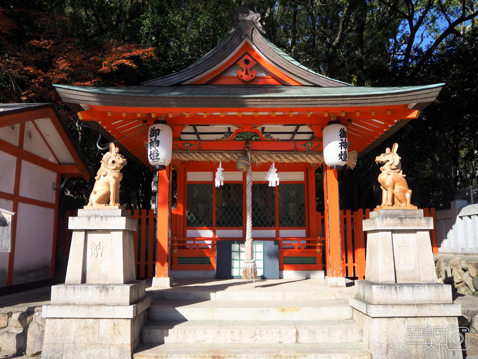 神戶-生田神社-生田の森-戀愛水籤占卜 (23).JPG