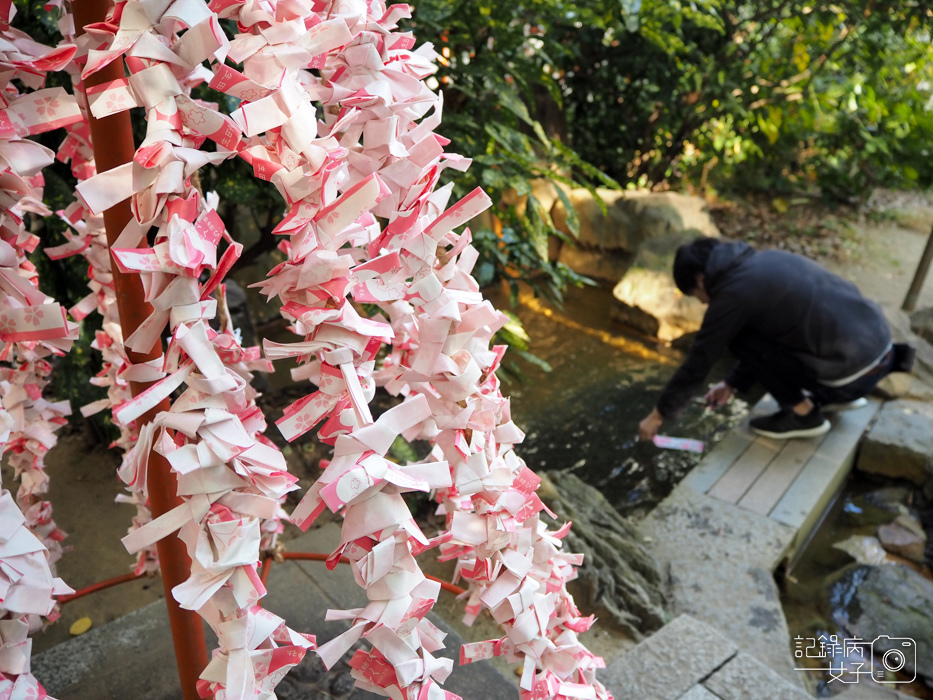 神戶-生田神社-生田の森-戀愛水籤占卜 (29).JPG