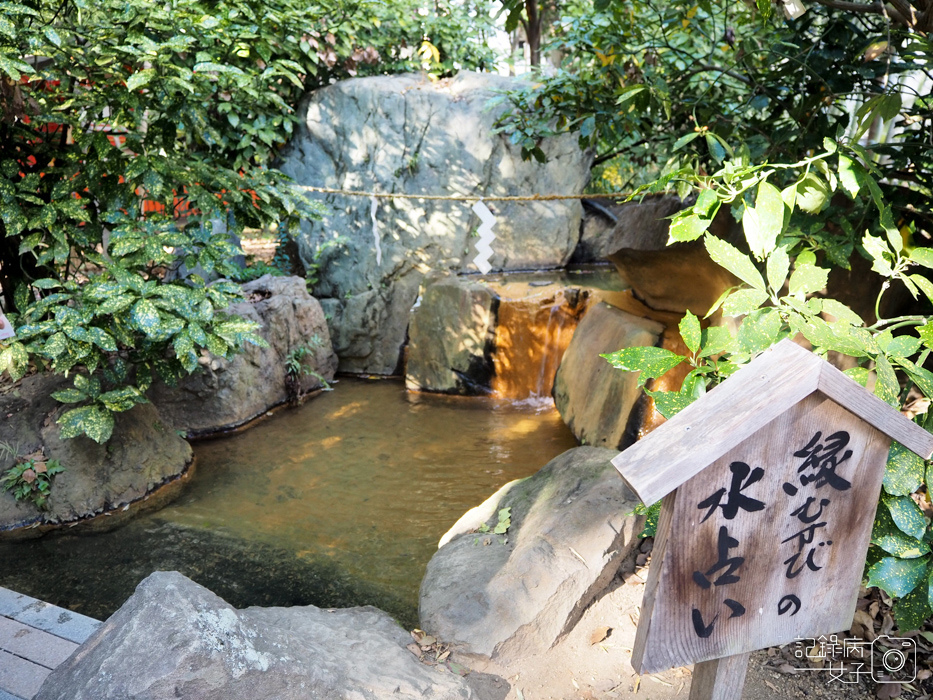 神戶-生田神社-生田の森-戀愛水籤占卜 (27).JPG