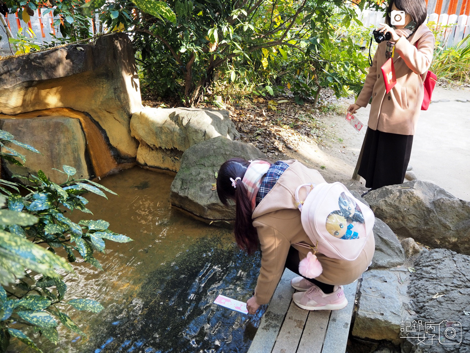 神戶-生田神社-生田の森-戀愛水籤占卜 (33).JPG