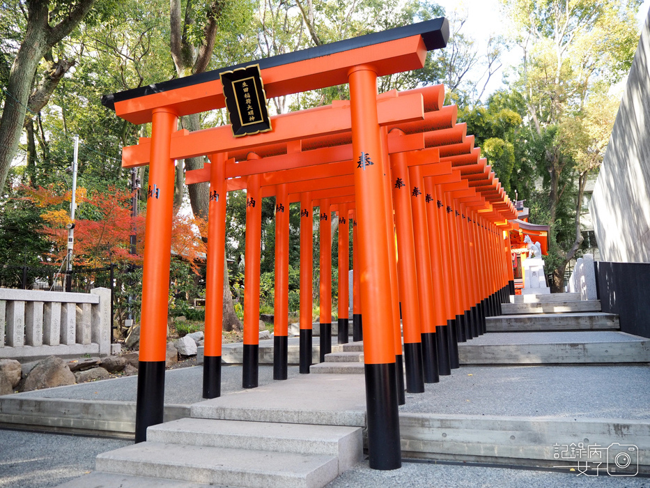 神戶-生田神社-生田の森-戀愛水籤占卜 (37).JPG