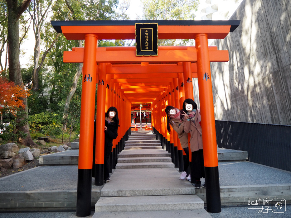 神戶-生田神社-生田の森-戀愛水籤占卜 (39).JPG