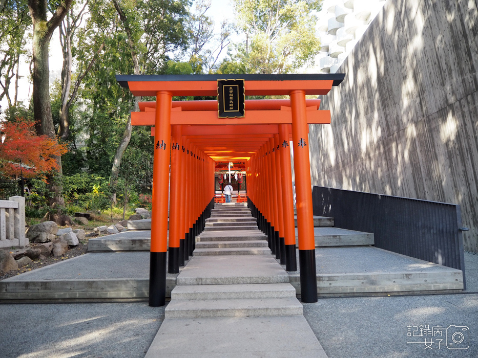 神戶-生田神社-生田の森-戀愛水籤占卜 (38).JPG