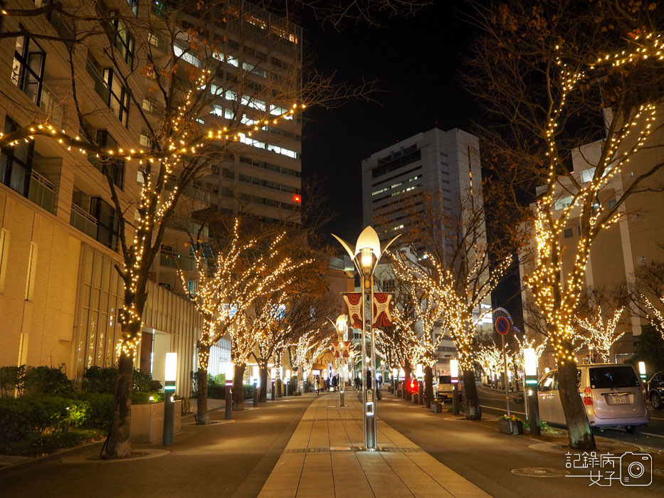 神戶夜景-神戶港塔-美利堅公園東方酒店-摩天輪 (3).JPG