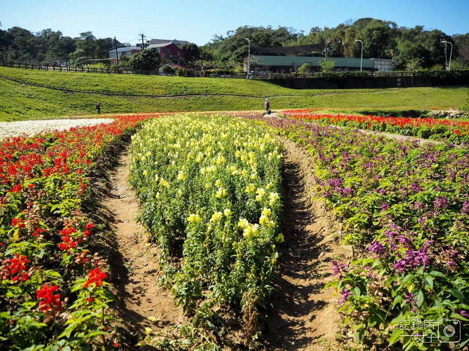 大溝溪生態治水園區-內湖秘境 (16).jpg 大溝溪生態治水園區-內湖秘境 (16).jpg