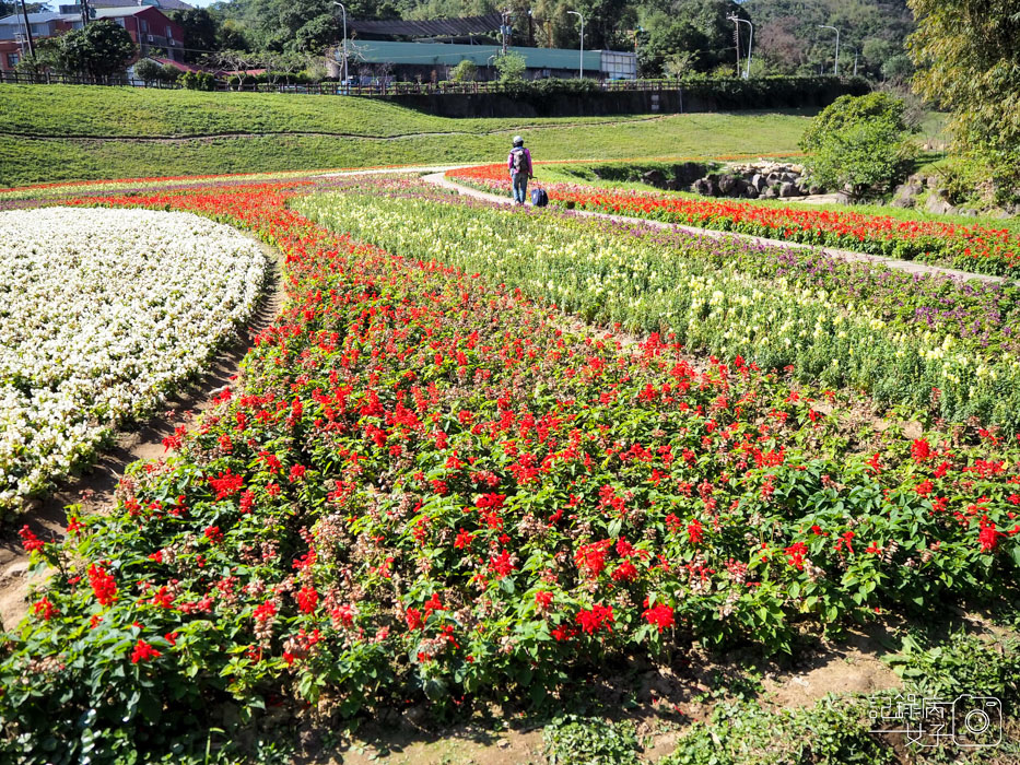 大溝溪生態治水園區-內湖秘境 (15).jpg 大溝溪生態治水園區-內湖秘境 (15).jpg