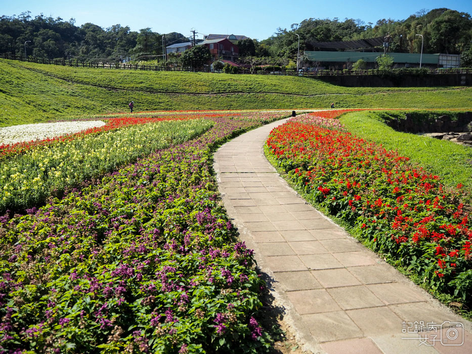 大溝溪生態治水園區-內湖秘境 (23).jpg 大溝溪生態治水園區-內湖秘境 (23).jpg