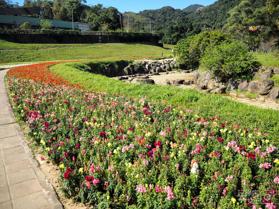 大溝溪生態治水園區-內湖秘境 (26).jpg 大溝溪生態治水園區-內湖秘境 (26).jpg