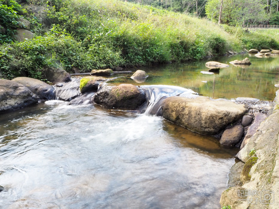 大溝溪生態治水園區-內湖秘境 (40).jpg 大溝溪生態治水園區-內湖秘境 (40).jpg