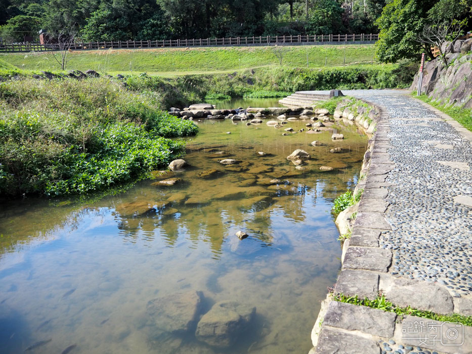 大溝溪生態治水園區-內湖秘境 (41).jpg 大溝溪生態治水園區-內湖秘境 (41).jpg