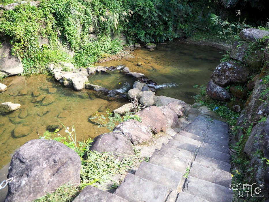 大溝溪生態治水園區-內湖秘境 (56).jpg