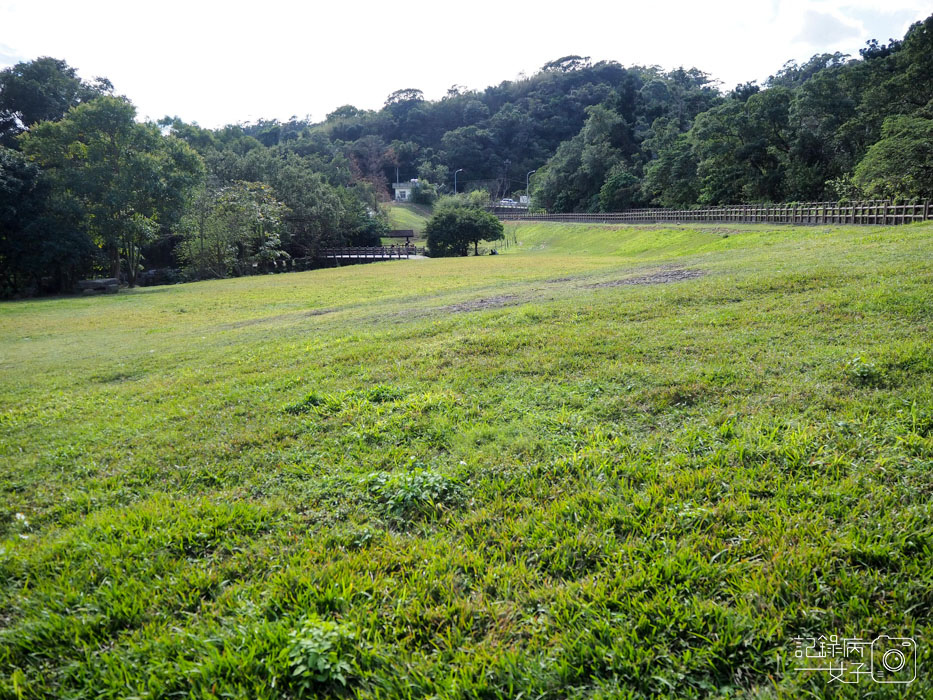 大溝溪生態治水園區-內湖秘境 (55).jpg 大溝溪生態治水園區-內湖秘境 (55).jpg