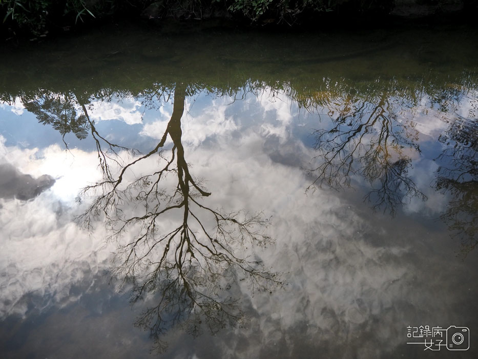 大溝溪生態治水園區-內湖秘境 (58).jpg 大溝溪生態治水園區-內湖秘境 (58).jpg