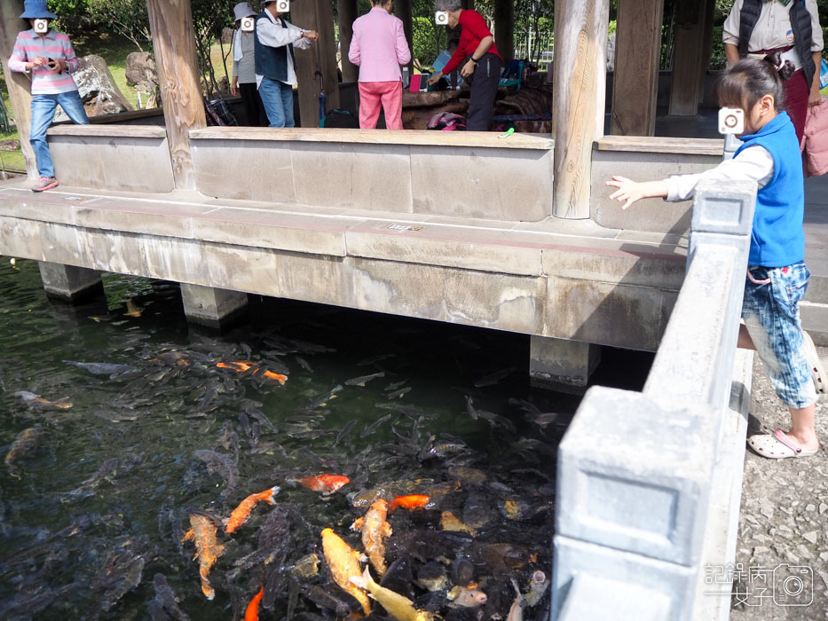 3國立故宮博物院  北部院區x至善園-愛台灣博物卡免費暢遊 (26).JPG