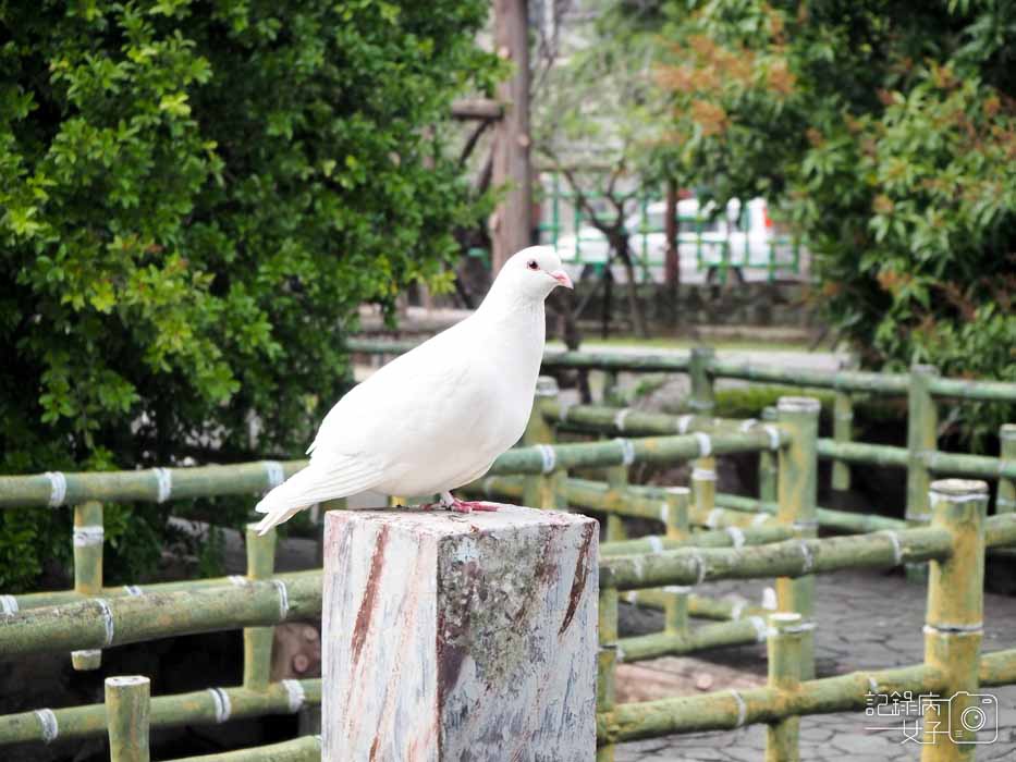 台北士林_雙溪公園_士林古色古香小秘境 (26).JPG