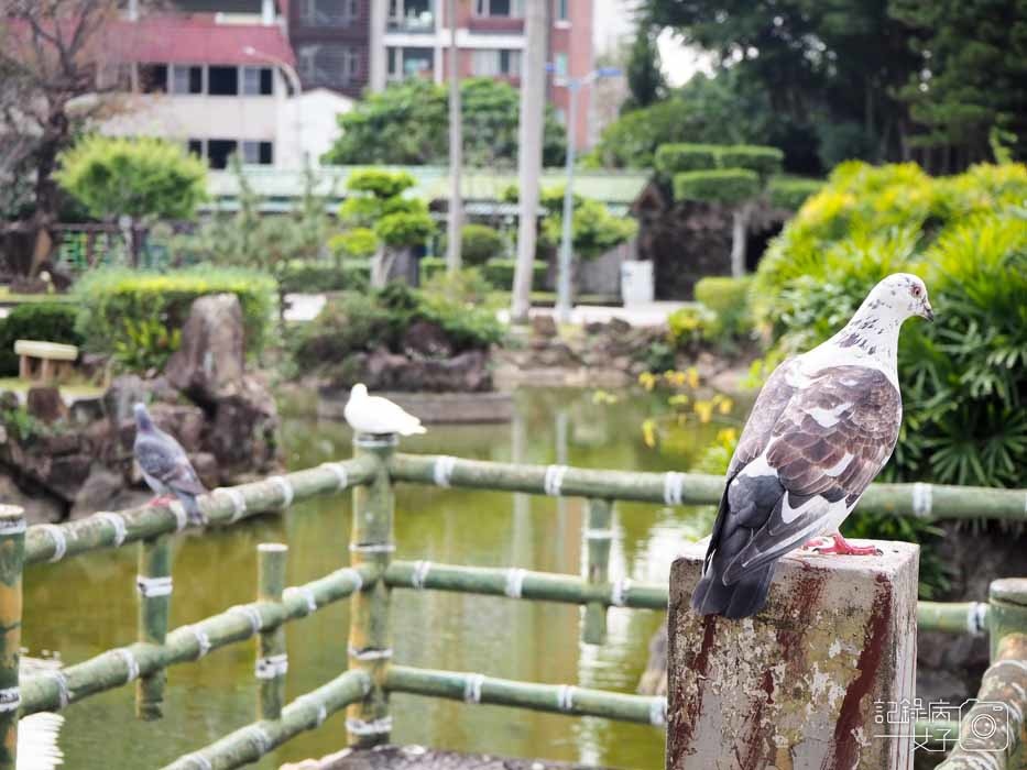 台北士林_雙溪公園_士林古色古香小秘境 (27).JPG