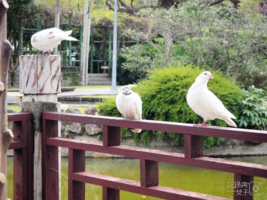 台北士林_雙溪公園_士林古色古香小秘境 (25).JPG