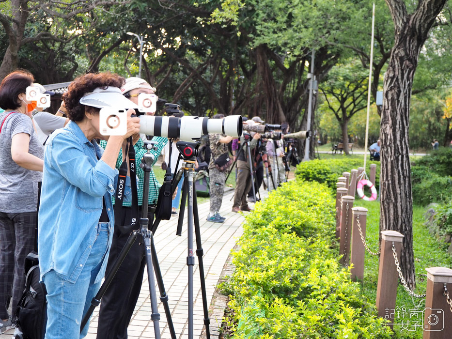 2020台北杜鵑花季_大安森林公園x捷運站水幕表演 (22).JPG