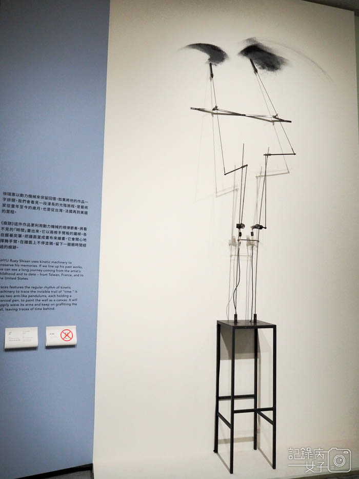 會動的藝術 ART IN MOTIO_台北市立美術館 (7).JPG