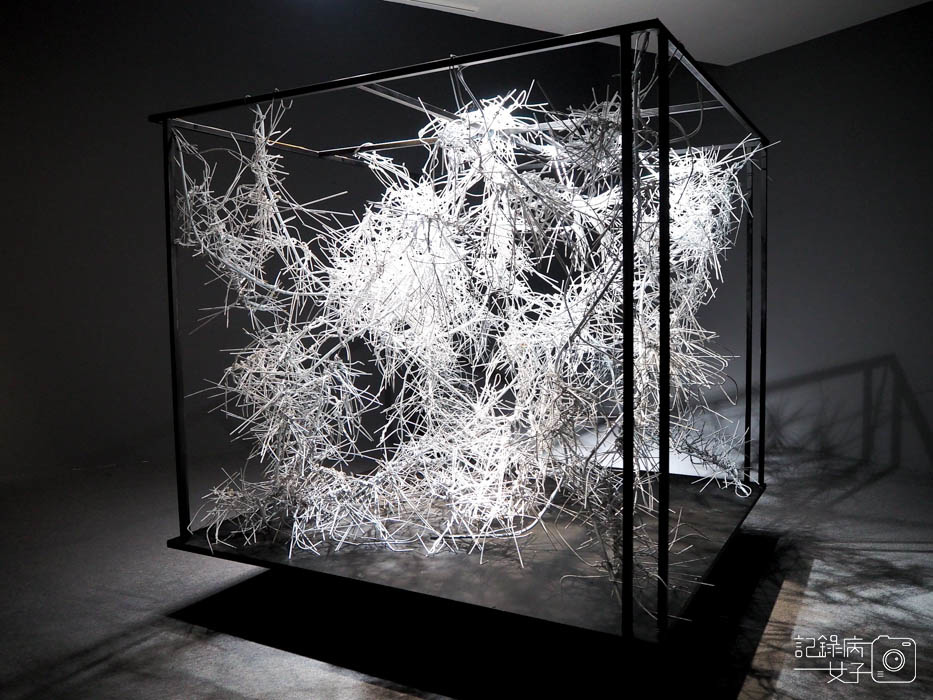 江賢二 回顧展 PAUL CHIANG A RETROSPECTIVE_台北市立美術館 (60).jpg 江賢二 回顧展 PAUL CHIANG A RETROSPECTIVE_台北市立美術館 (60).jpg