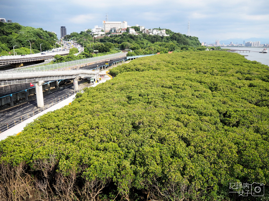 關渡 金色水岸自行車道 (16).JPG