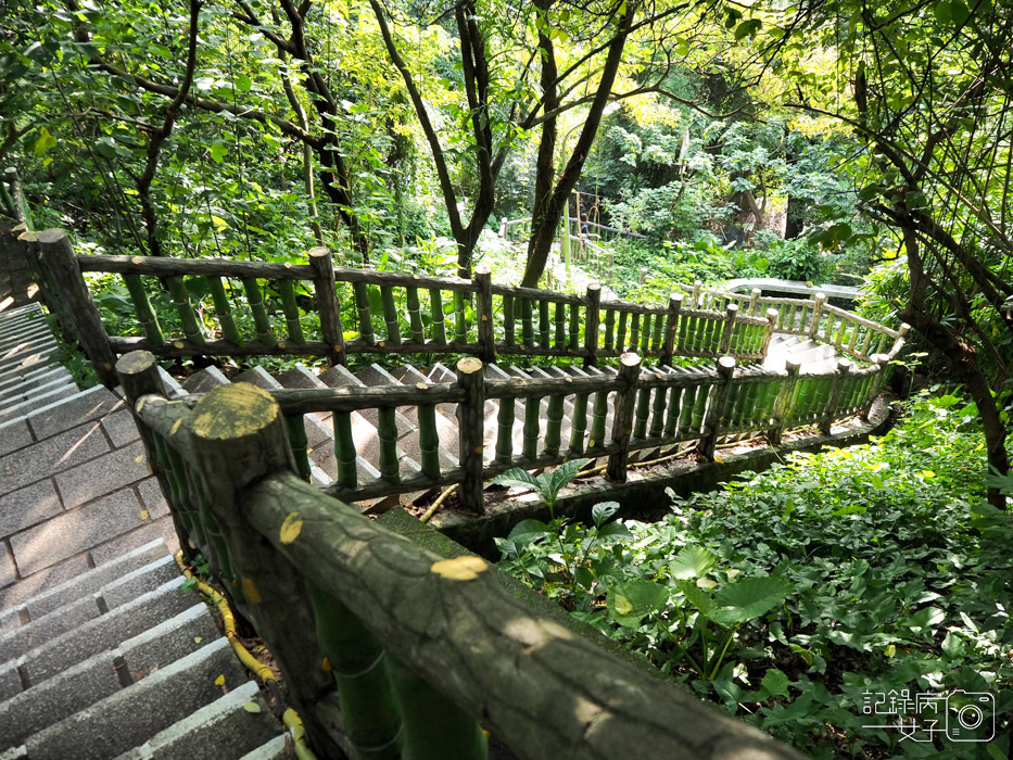 劍潭山親山步道_老地方觀景平台 (5).JPG