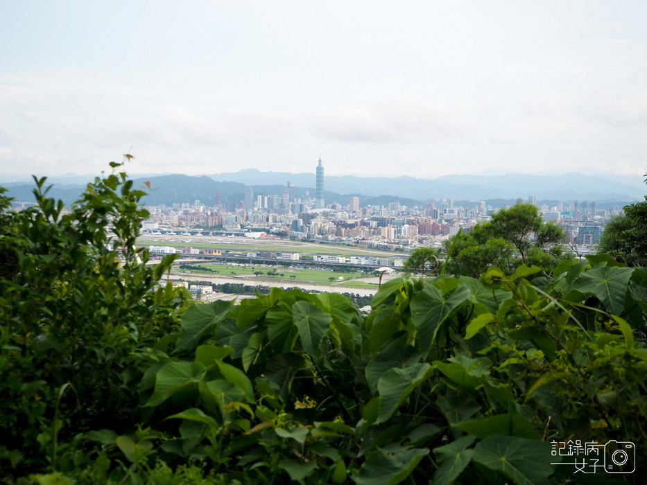 劍潭山親山步道_老地方觀景平台 (13).JPG