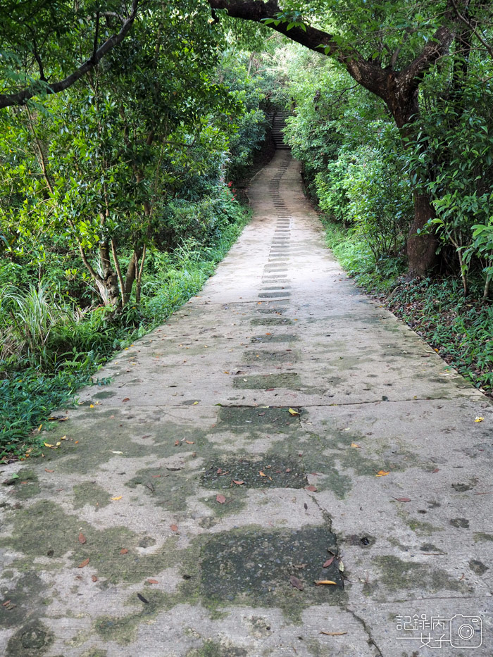 劍潭山親山步道_老地方觀景平台 (14).JPG