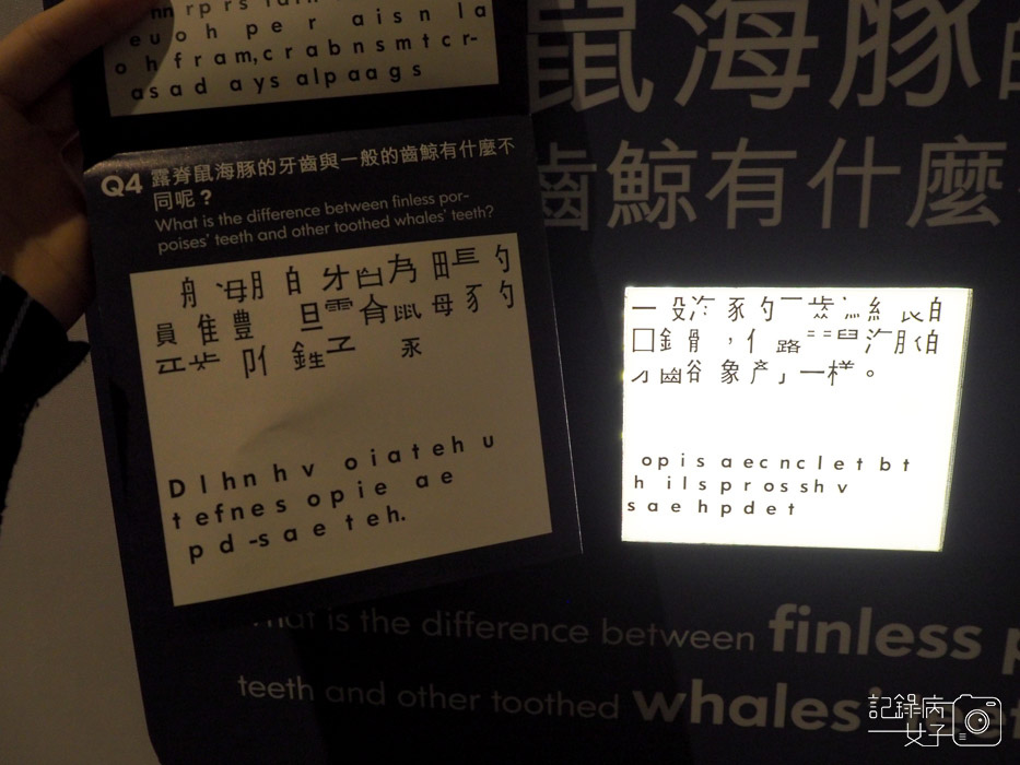 國立臺灣博物館_鯨驗值 鯨骨解密特展+發現臺灣 重訪臺灣博物學與博物學家的年代 (14).jpg