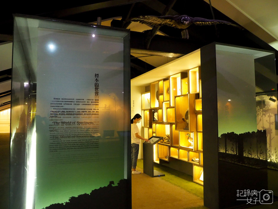 國立臺灣博物館_鯨驗值 鯨骨解密特展+發現臺灣 重訪臺灣博物學與博物學家的年代 (45).jpg