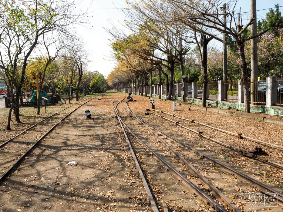 蒜頭糖廠蔗埕文化園區x五分車台糖冰品2.jpg