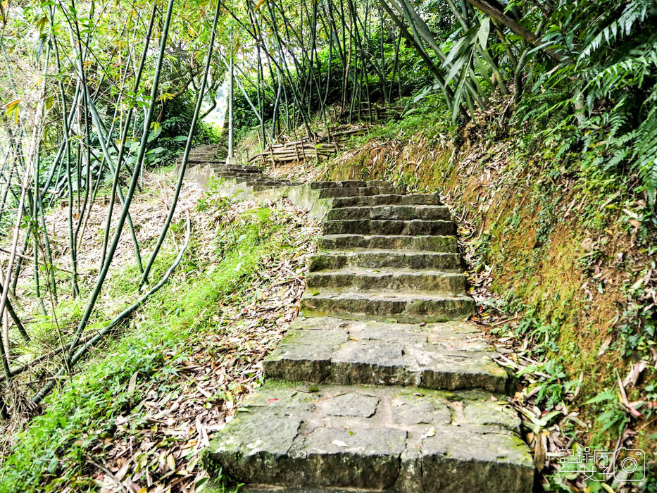 內湖白鷺鷥山親山步道x大湖公園後山悠閒小步道3.jpg