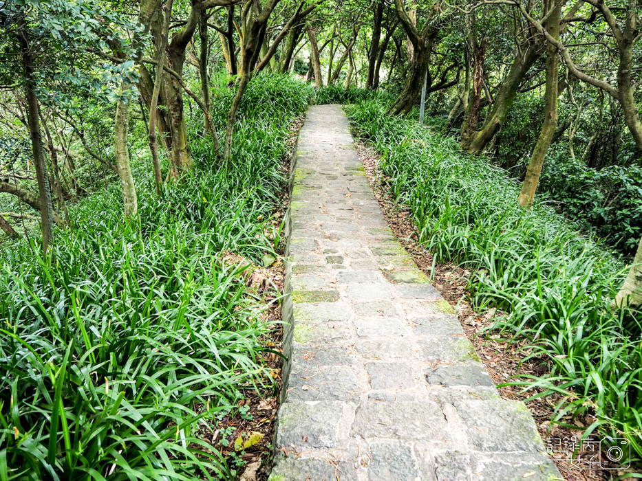 內湖白鷺鷥山親山步道x大湖公園後山悠閒小步道5.jpg