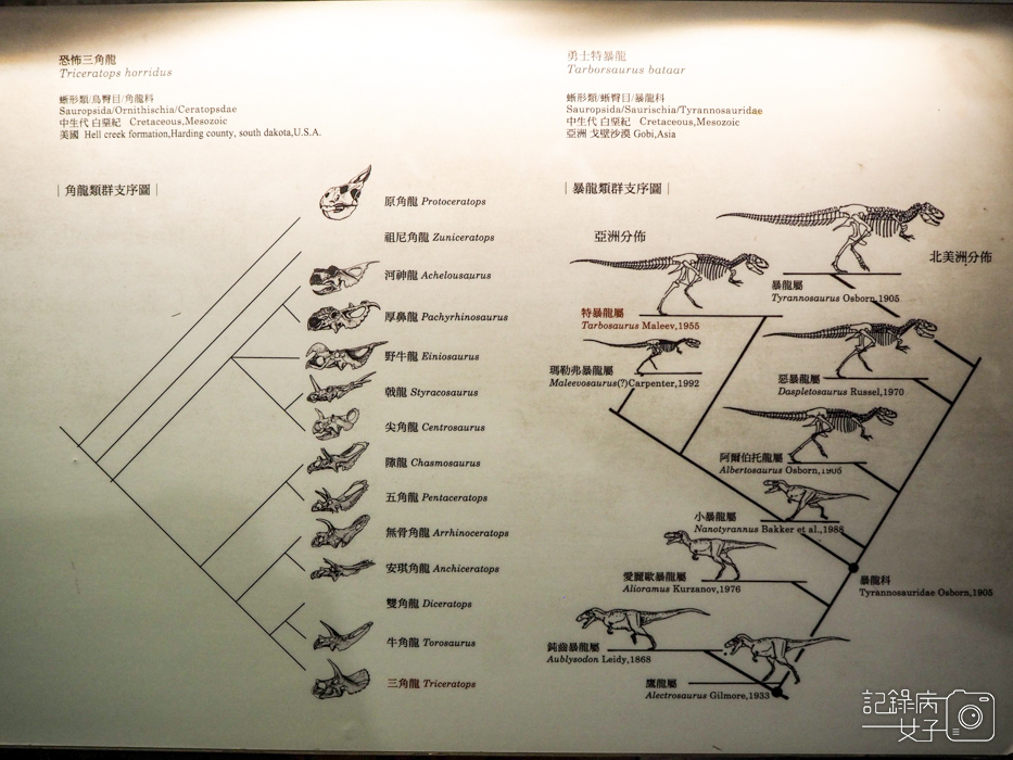 台北車站古生物館x恐龍化石15.jpg