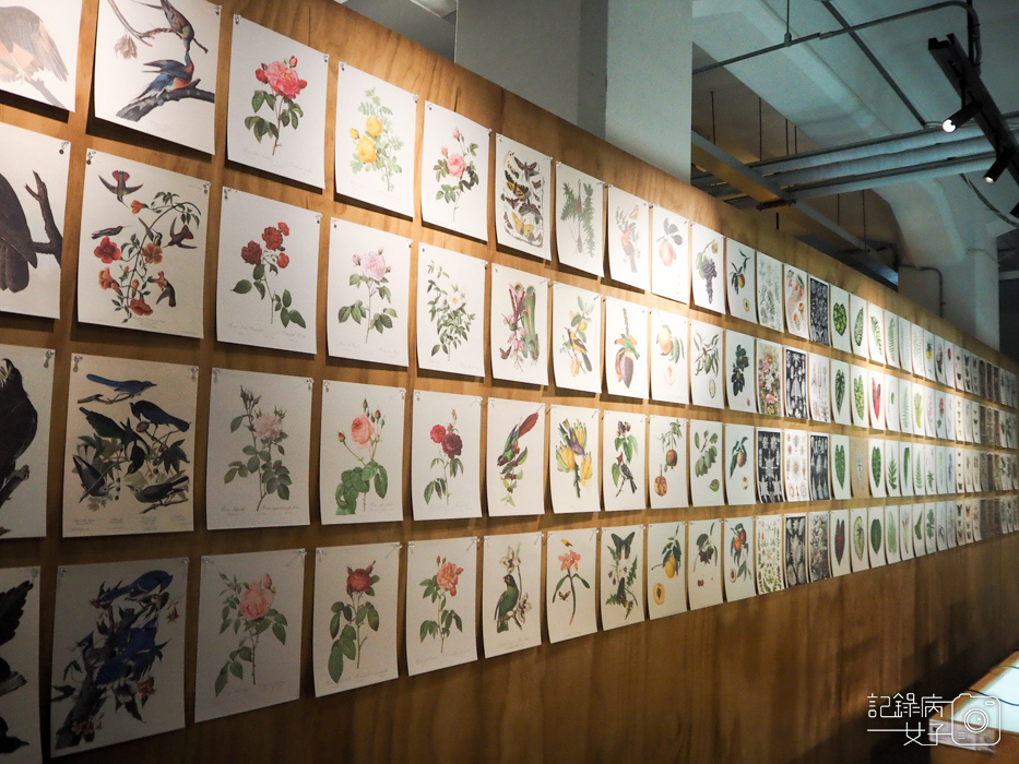 松菸 大博物展 x 10大博物館數位館藏32.jpg