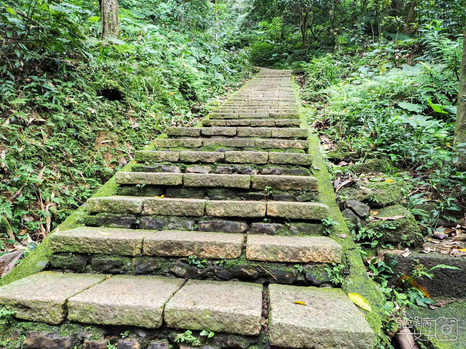 象山步道x六巨石x一線天x台北101攝影平台7.jpg