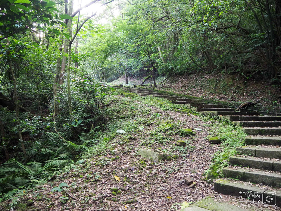 汐止油桐花x新山夢湖x網美打卡2.jpg