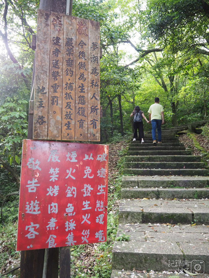 汐止油桐花x新山夢湖x網美打卡1.jpg