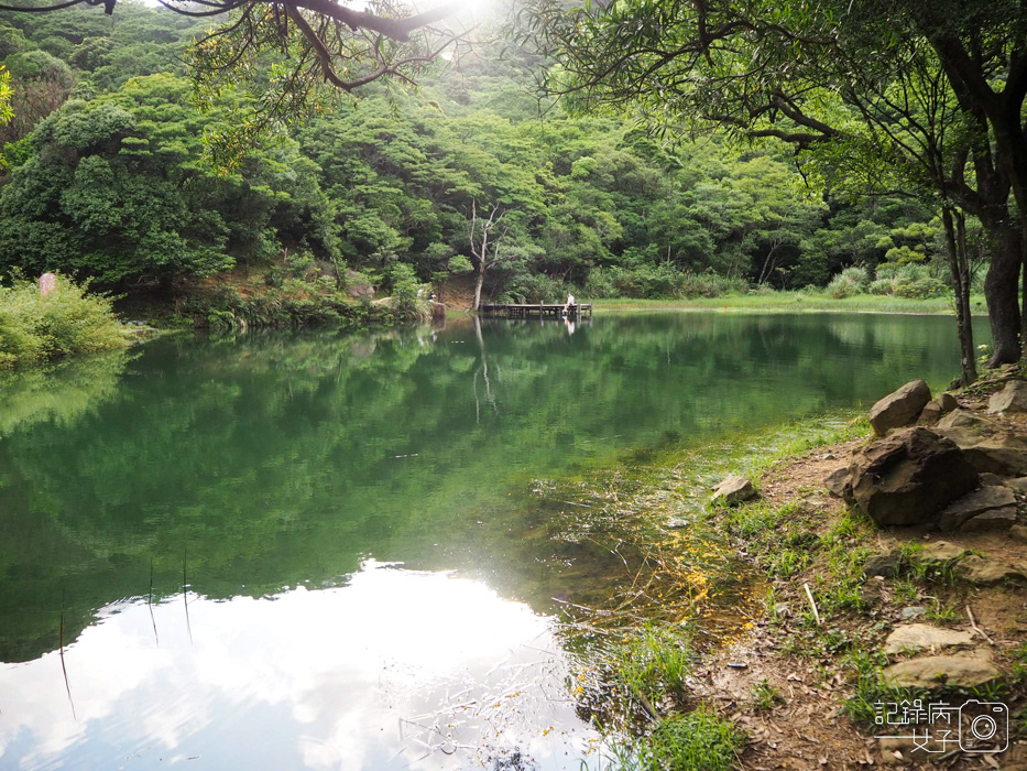 汐止油桐花x新山夢湖x網美打卡6.jpg