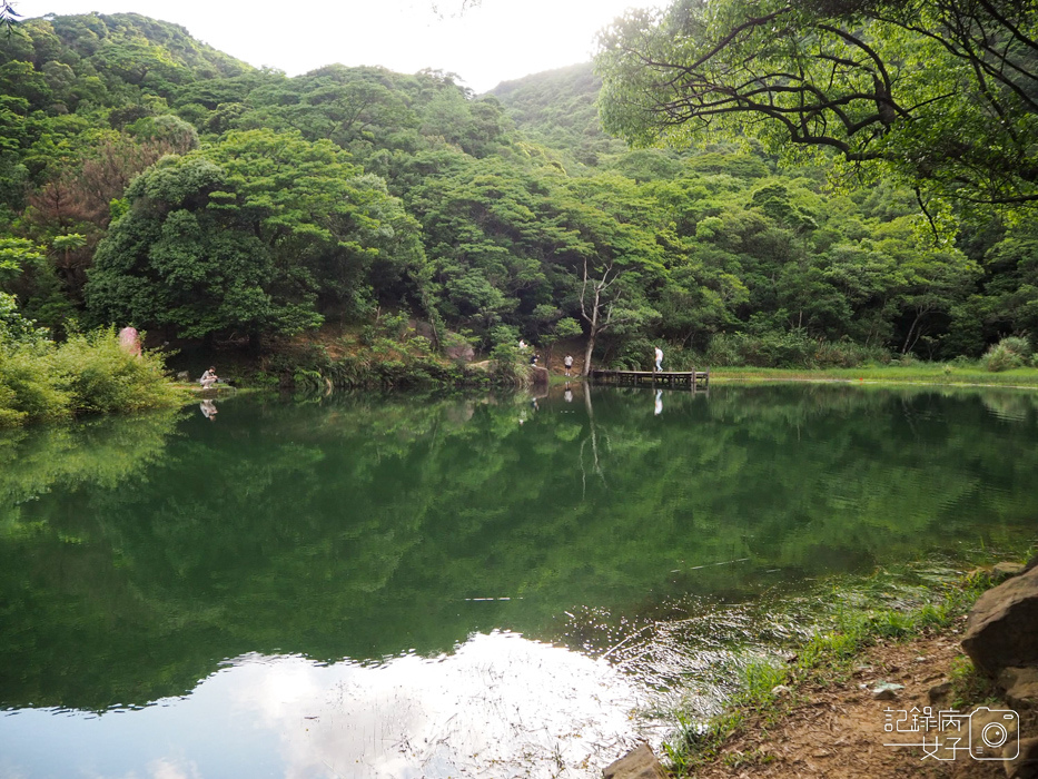 汐止油桐花x新山夢湖x網美打卡8.jpg