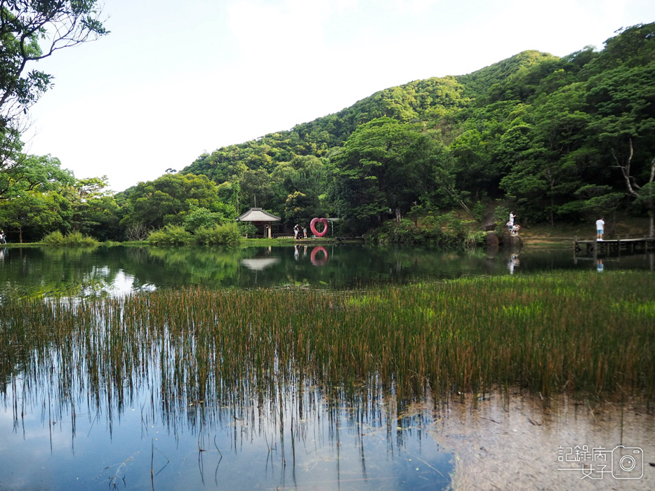 汐止油桐花x新山夢湖x網美打卡14.jpg