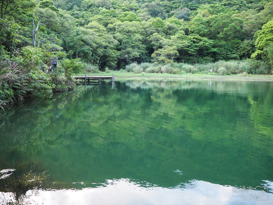 汐止油桐花x新山夢湖x網美打卡25.jpg