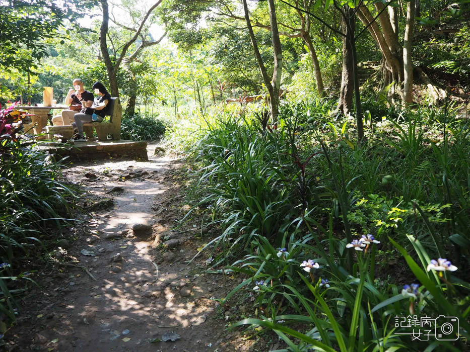 汐止油桐花內溝山登山步道翠湖步道5.jpg