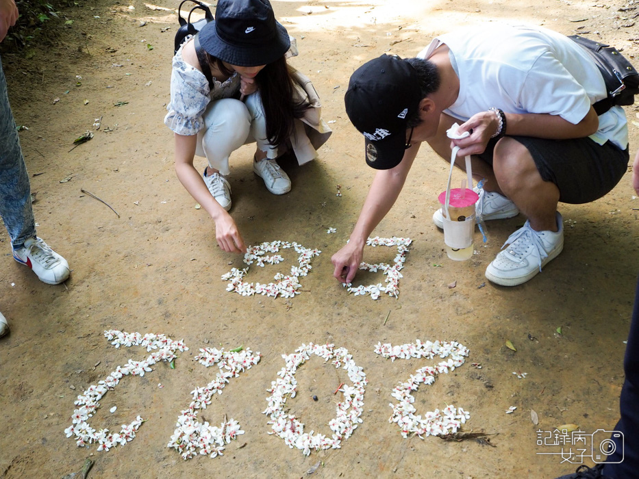 汐止油桐花內溝山登山步道翠湖步道19.jpg