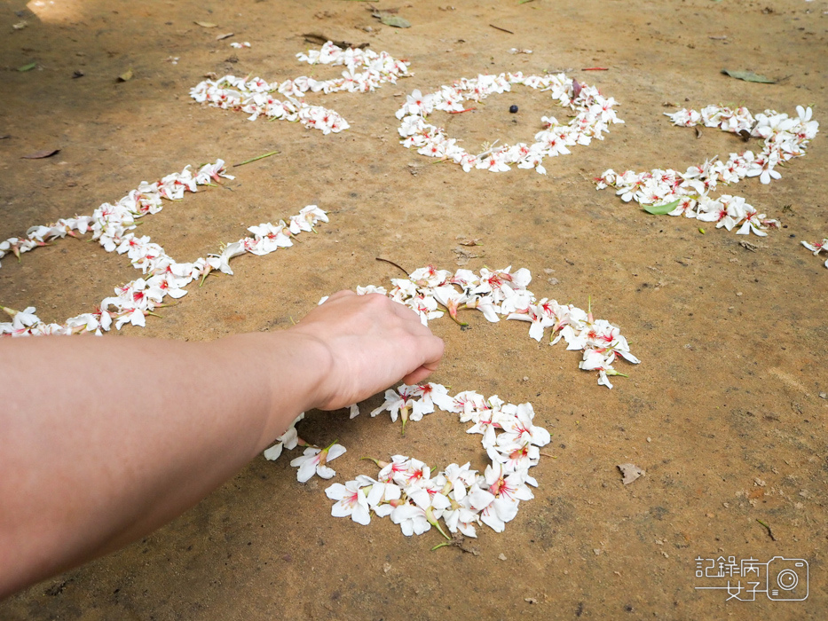 汐止油桐花內溝山登山步道翠湖步道20.jpg