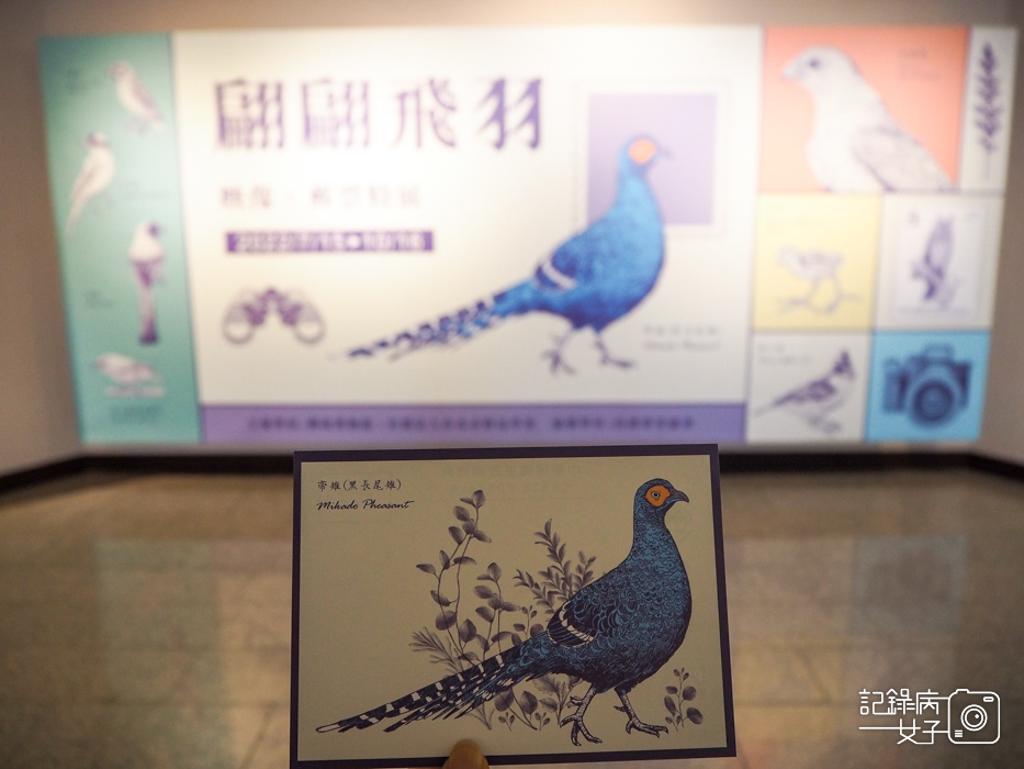 郵政博物館 翩翩飛羽映像 超美鳥類郵票特展2.jpg