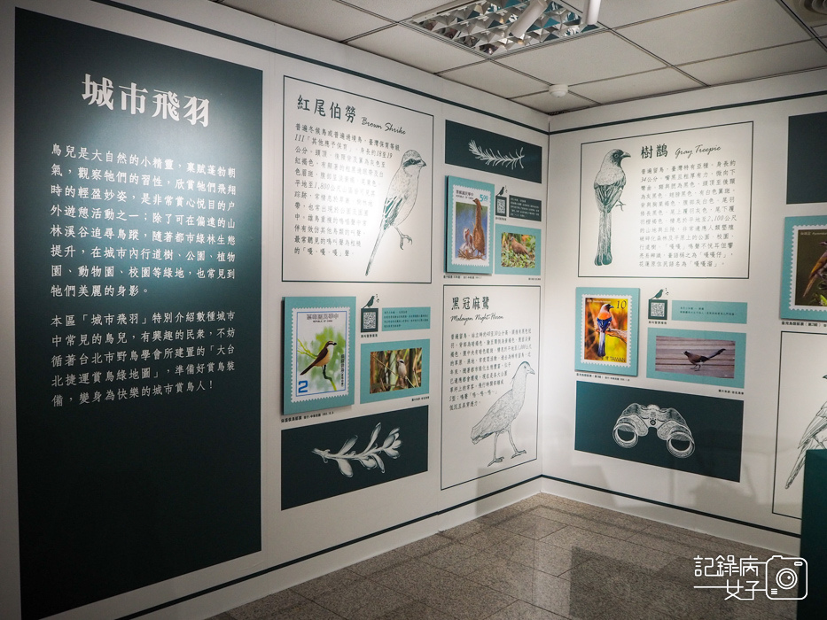 郵政博物館 翩翩飛羽映像 超美鳥類郵票特展18.jpg