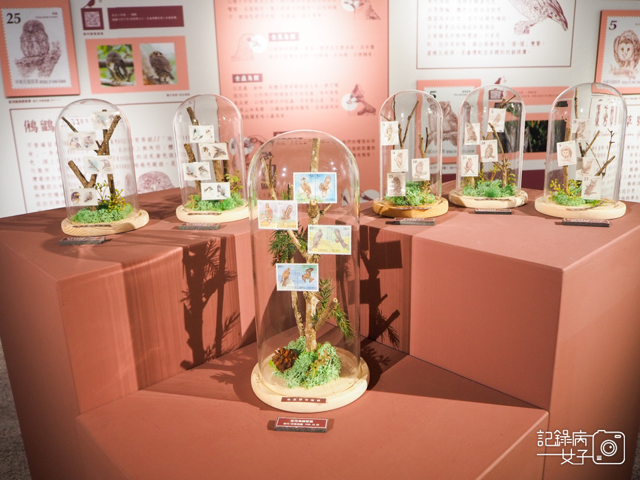 郵政博物館 翩翩飛羽映像 超美鳥類郵票特展26.jpg